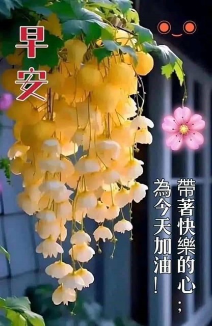按我可連結至更清楚的圖片